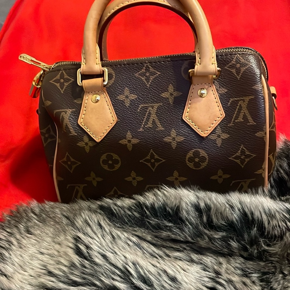 Louis Vuitton Mini Bag in Brown with Tan Accents
Firm on price !